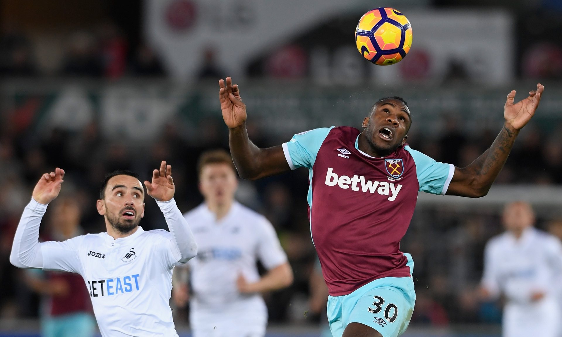 内的冷静处 内的冷静处